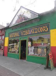 Natural Vibrations, 719 Harden St, Columbia, SC 29205, United States