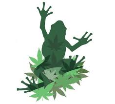 Frog Brigade Farmacy, 1370 W Clark Blvd, Murfreesboro, TN 37129, United States