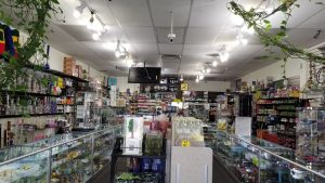 D's Smoke Shop and Gift, 690 N Valle Verde Dr, Henderson, NV 89014, United States