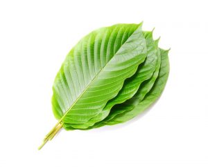Is Kratom Legal in New Hampshire